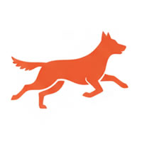 icone surveillance maitre chien bretagne
